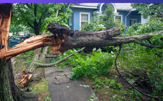 Emergency Prescription Assistance Program Deployed in North Carolina Following Hurricane Helene 