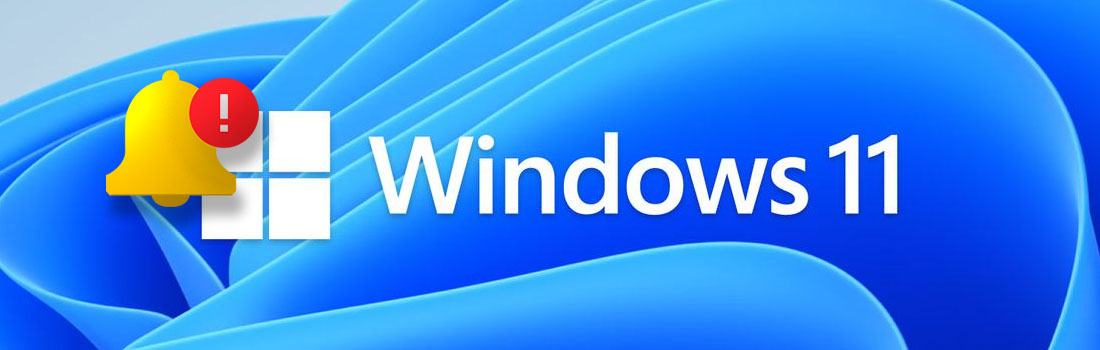 Windows® 11 Release 